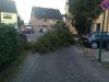 Einfache TH